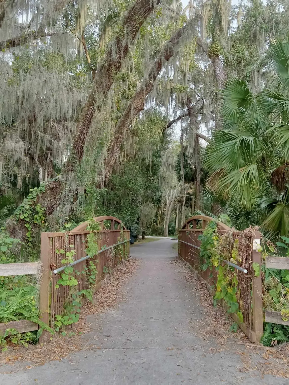 Hiking and walking in this beautiful area 2