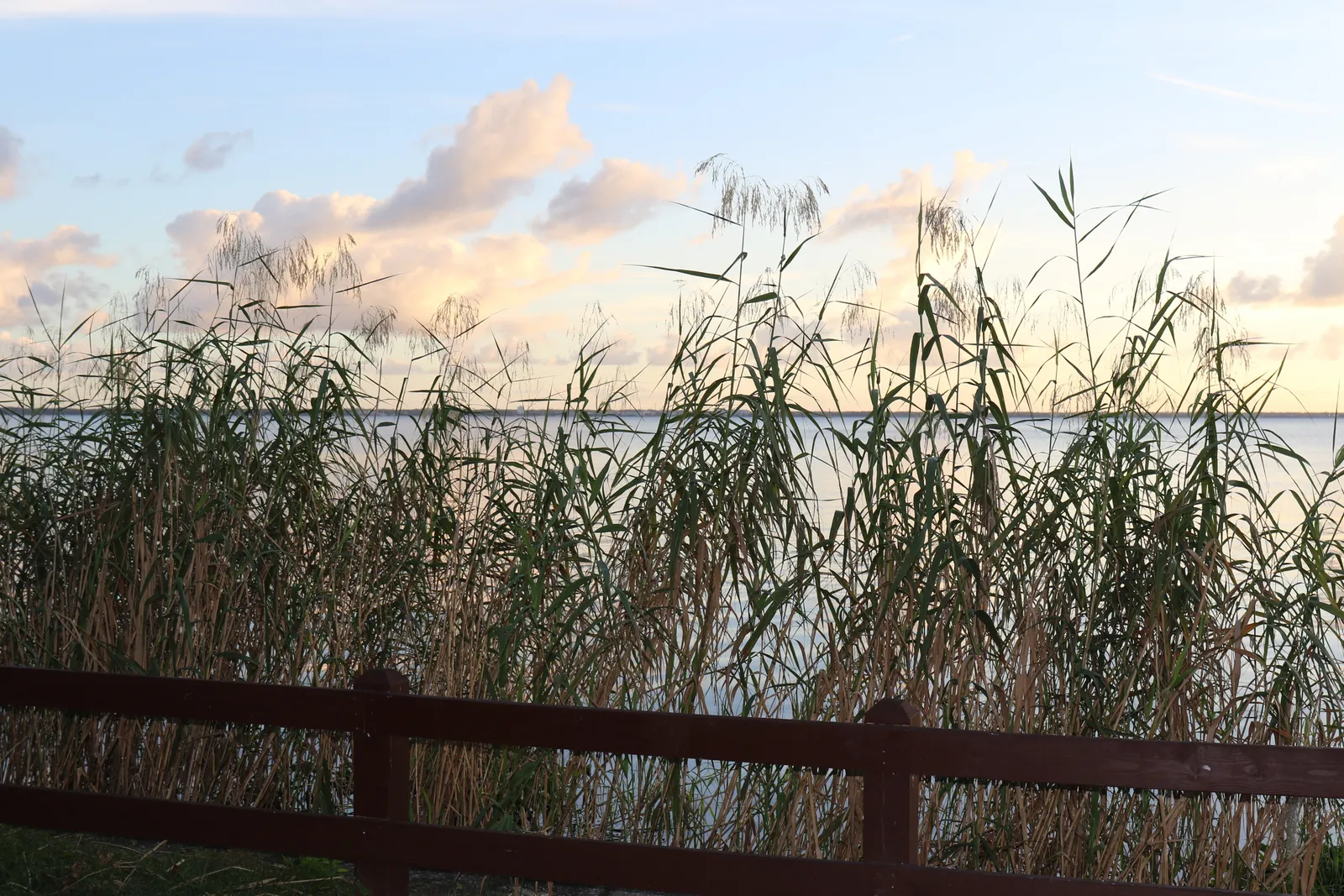 Fishing and boating 3